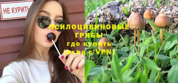 первитин Струнино