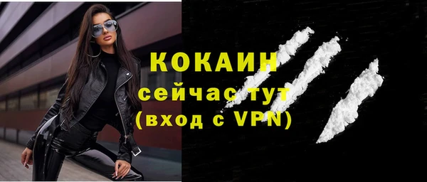 твердый Строитель