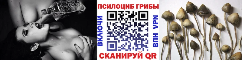 Купить где  Среднеколымск  Псилоцибиновые грибы прущие грибы 